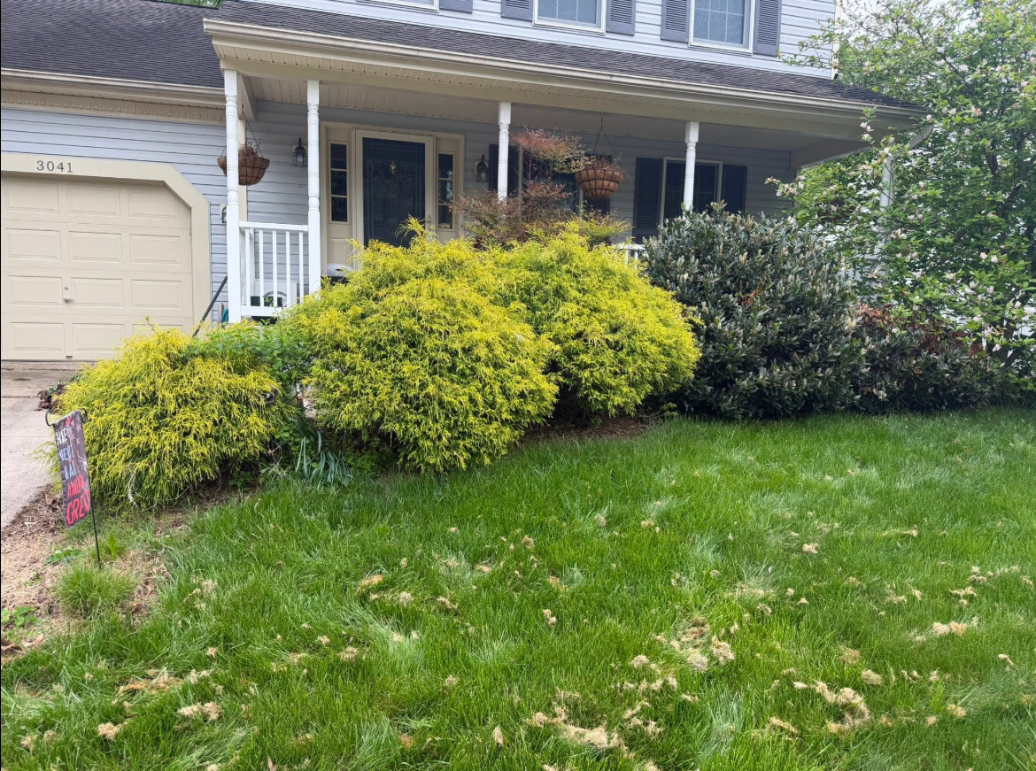 Shrub and landscape maintenance by Austin's Lawn Maintenance